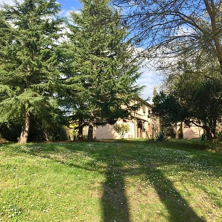 Agriturismo Bethsaid Fauglia Luaran gambar
