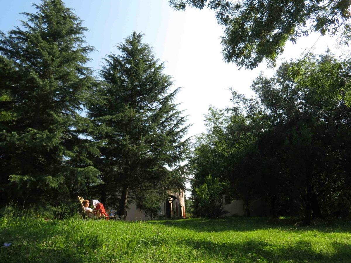 Agriturismo Bethsaid Fauglia Luaran gambar