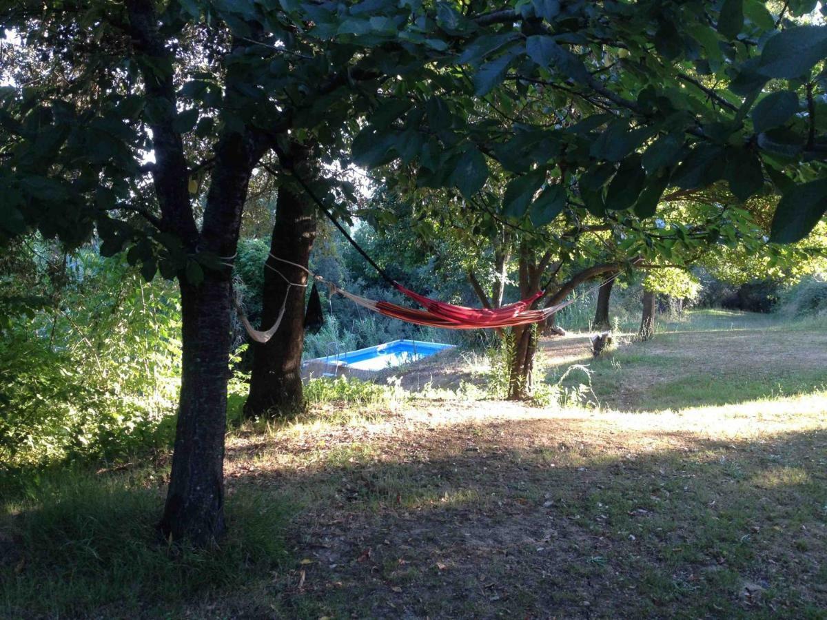 Agriturismo Bethsaid Fauglia Luaran gambar