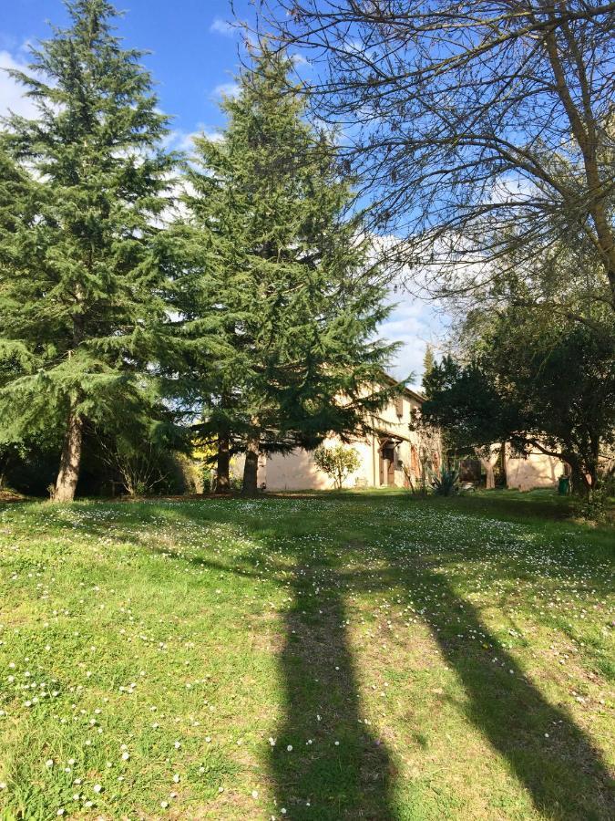 Agriturismo Bethsaid Fauglia Luaran gambar
