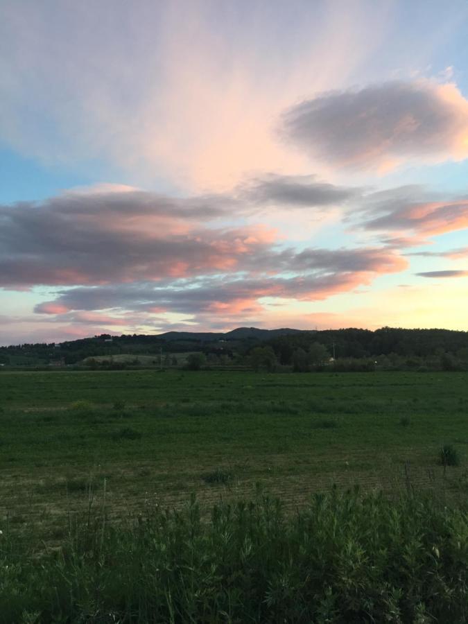Agriturismo Bethsaid Fauglia Luaran gambar